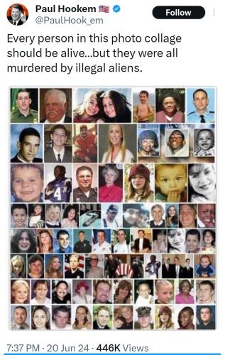 illegal alien killers