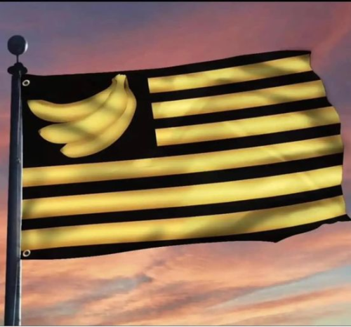 image_2024-06-01_105412887