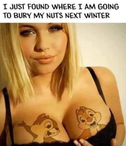 image_7F776E97-FAE2-4970-973E-55379C39277F