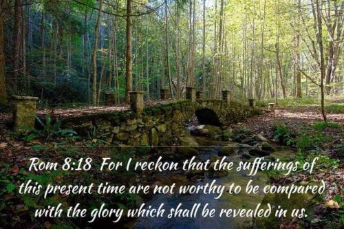 d7742482-bb24-4843-861f-f07f1467bb33