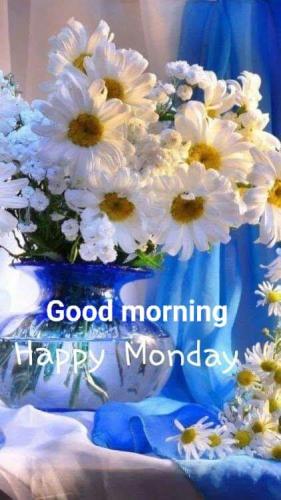FB_IMG_1559538306281