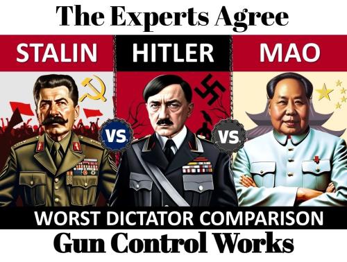 The experts agree gun control works