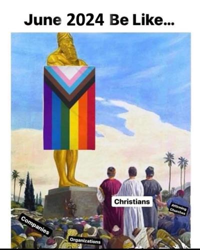 xephula_1a19b2ae31597b5175d5edf5d1f98f81