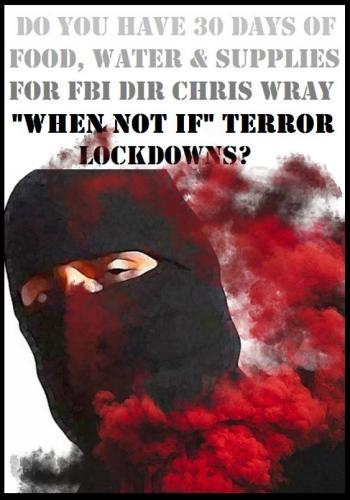 SELF-RELIANCE IN A TERROR ATTACK