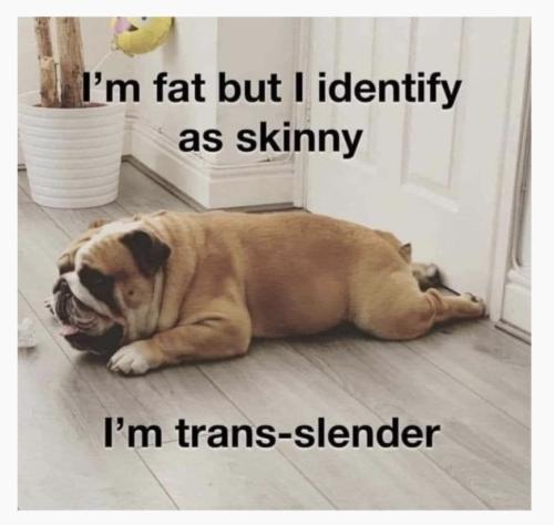 Screenshot_20240625_015137_Outlook