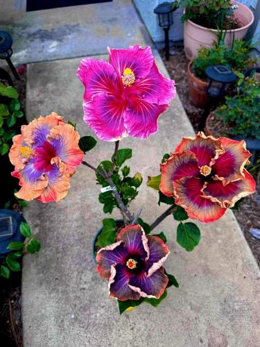 20240628_042914