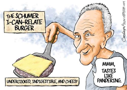 schumer gas grill