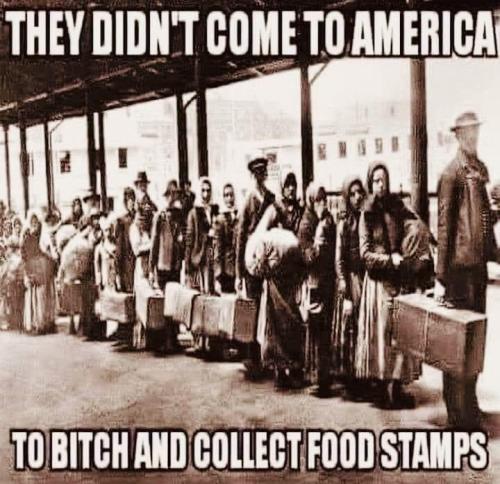 image_BEEC272C-6C76-4691-8863-BF19F30C387E