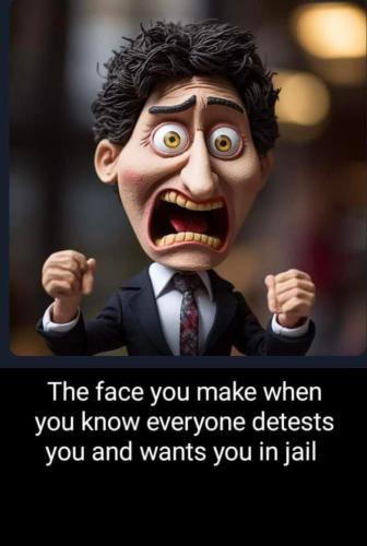 the face  you make