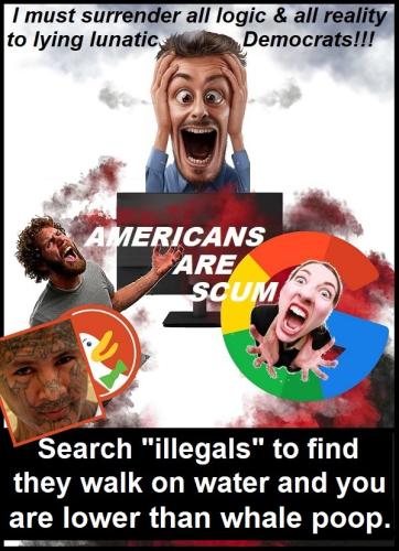 SEARCH ENGINES HATE AMERICANS