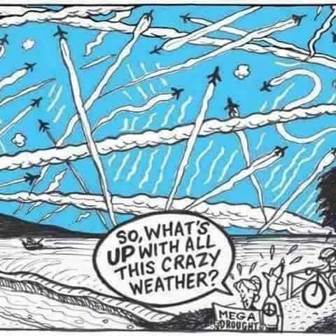 photo_2024-06-19_18-30-20