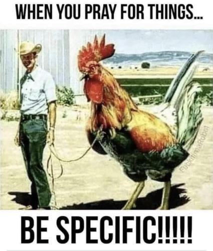 FB_IMG_1718226890675