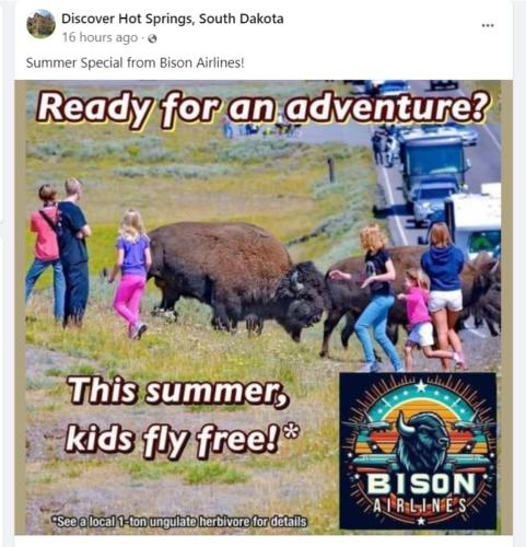 Summer Special from Bison Airlines.960px