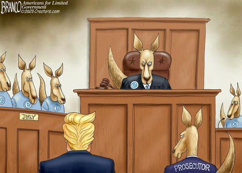 Kangaroo Court 2024