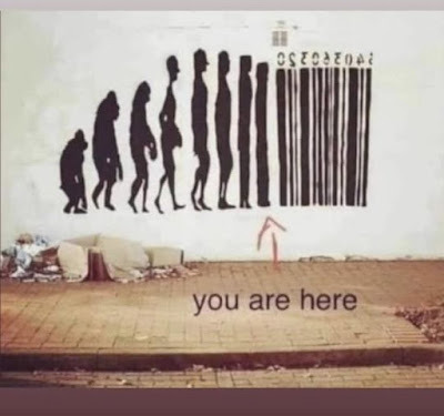 448198490_122195994158006340_3340477071813108382_n