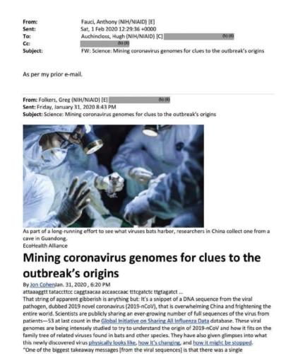 FB_IMG_1717383810128