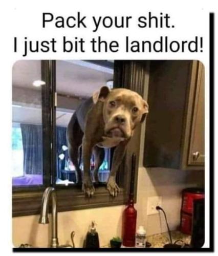 FB_IMG_1718329293796