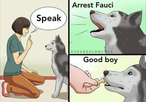 image_DE7DF76B-0E87-4710-9677-A474ACCF9E68