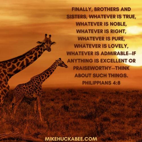 76a3cdd7-f67f-4ad8-9a5f-eeded563a9d5_1080x1080