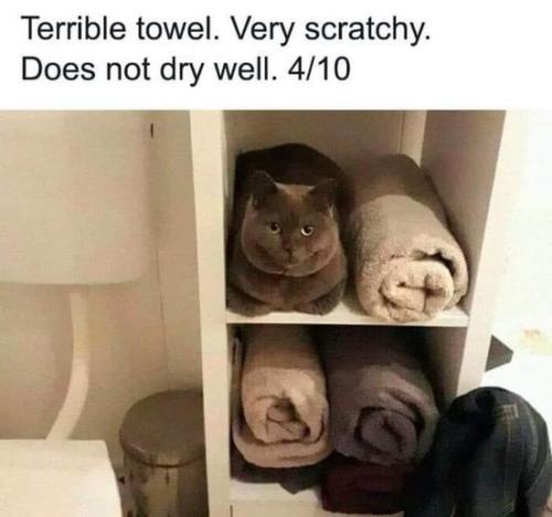 448342656_10160574272443235_2145744037060250997_n