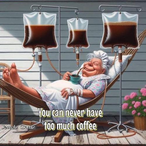 448793039_2449027715284908_7926968400755480686_n