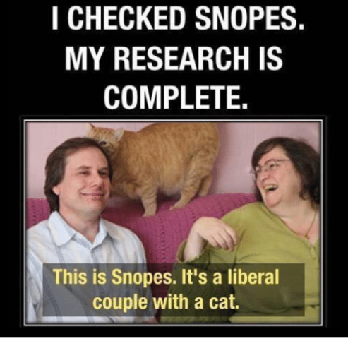 snopes-my-research-is-complete-this-is-snopes-3575849