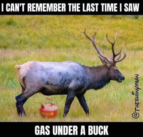 448832301_122154363524231401_5390049454583726255_n