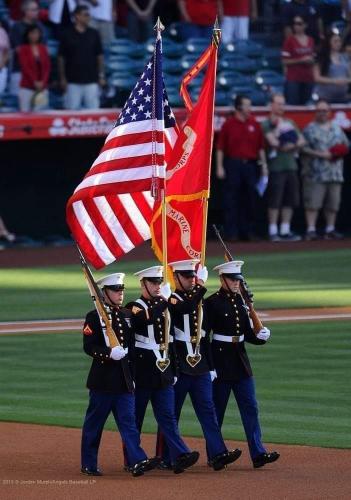 d302b398-46c2-4286-8d79-dcdcf5fe96c9