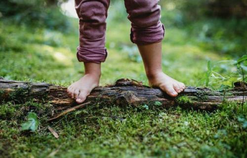 ,                              ,    ,