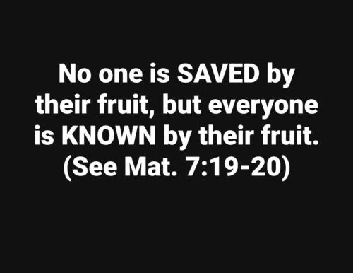 981abc10-f606-4b34-b4f2-52cce80b70a6