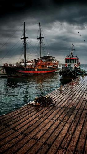 img-b560e401