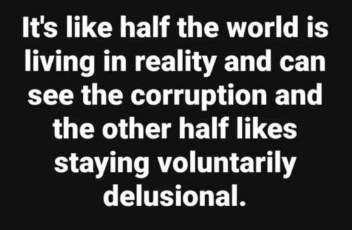 IMG_20240616_053431_045