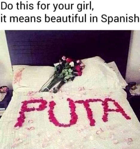 448163243_3096066743862648_8627555507217604528_n