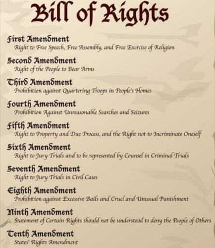 Screenshot_20240611_091628_Wimkin Free Speech Social Media