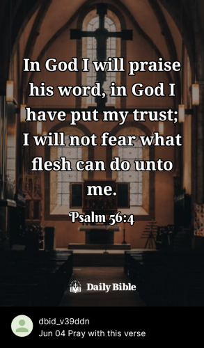 2024-06-041717536807443