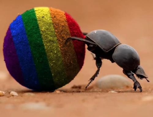 441876052_10225523863467471_2454044698438158267_n