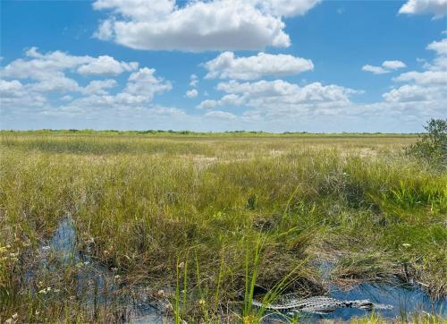 大沼泽地国家公园Everglades National Park_3_别问我是谁_来自小红书网页版