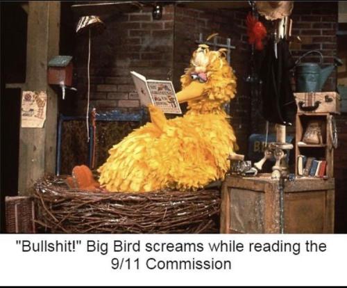 image_26238782-D4E8-464D-9CA3-DBEF3FF7079A