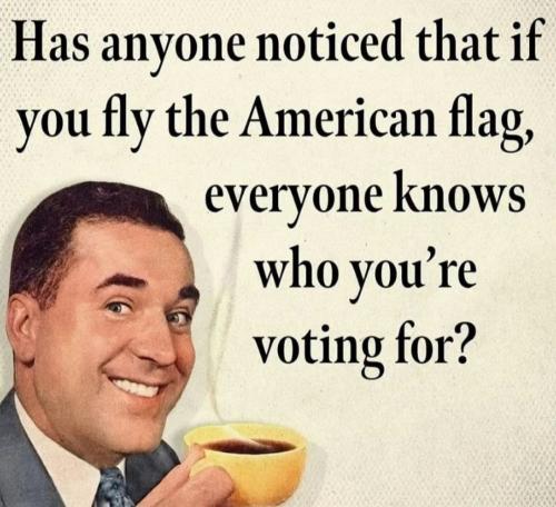 Screenshot_20240608_212535_Instagram