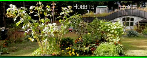 HOBBITS-1