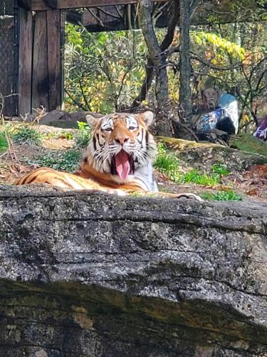 05:37:58 GMT-0400 (EDT)