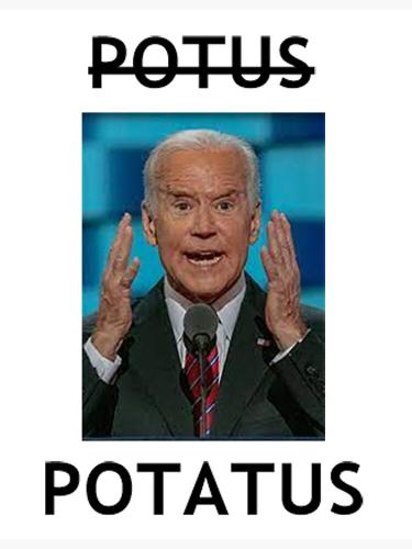 Potatus 5