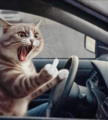 FB_IMG_1718316339350