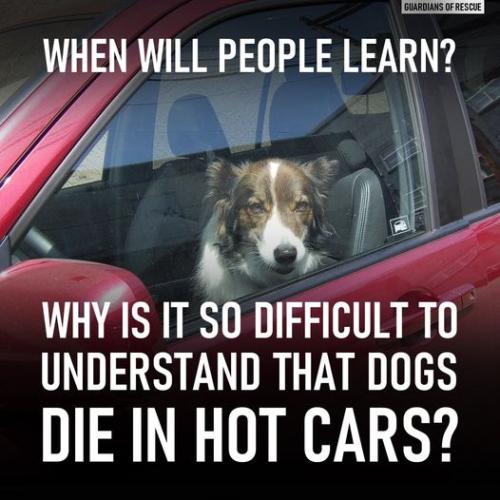 105028528_3004526899601107_3062285003273292244_n