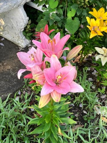 A8641A1D-C8B9-477F-ABC5-9B151A486C46