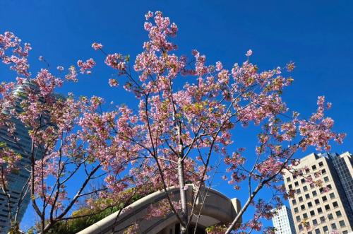 ffdfaa0a-0783-4829-9034-47540cb71b63