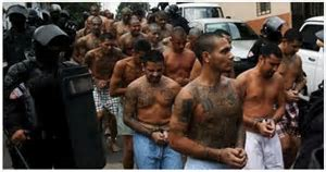 ms13 violent gang members