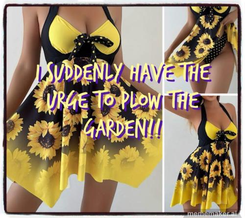 image_1C823307-0A56-4242-8F01-589A6D60AF4E