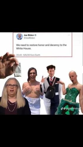 xephula_d18b68ca42bec8b4e031c5ae22469dfb