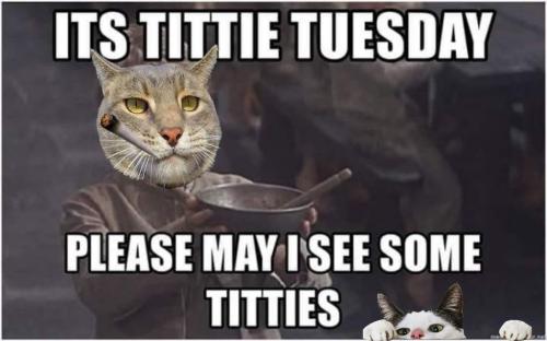 59f47359637a5dcc673fcd536bc5e91d-3278021426